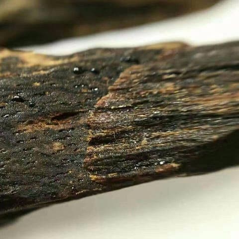 Oud