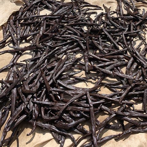 Vanilla